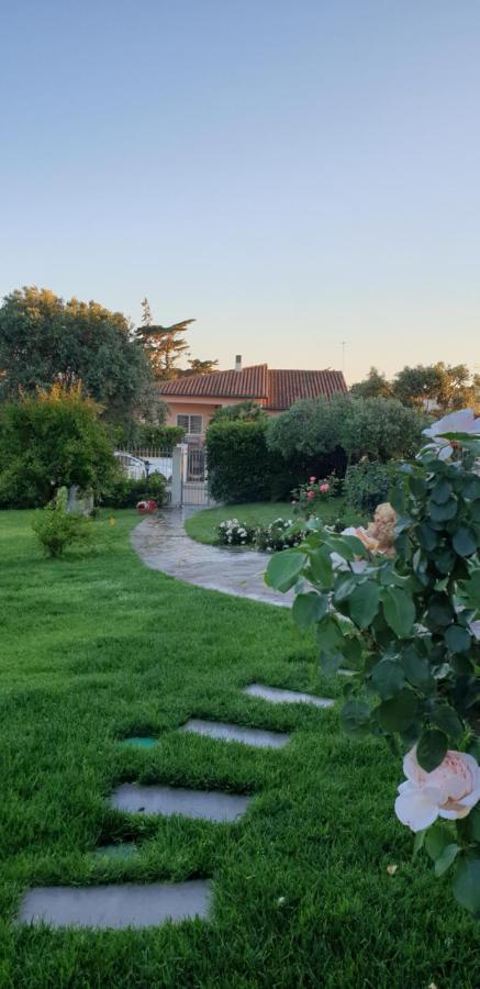 Villa Luce B&B Olbia Esterno foto